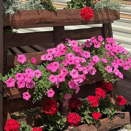 Jaktstuga Delux W Helu Hel