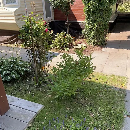 Lodge Delux W Helu Hel