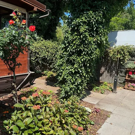 Lodge Delux W Helu Hel