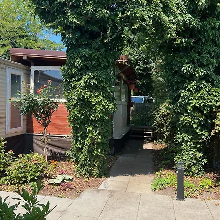 Lodge Delux W Helu Hel