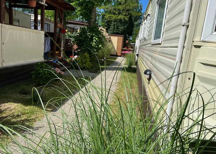 Delux W Helu Хель