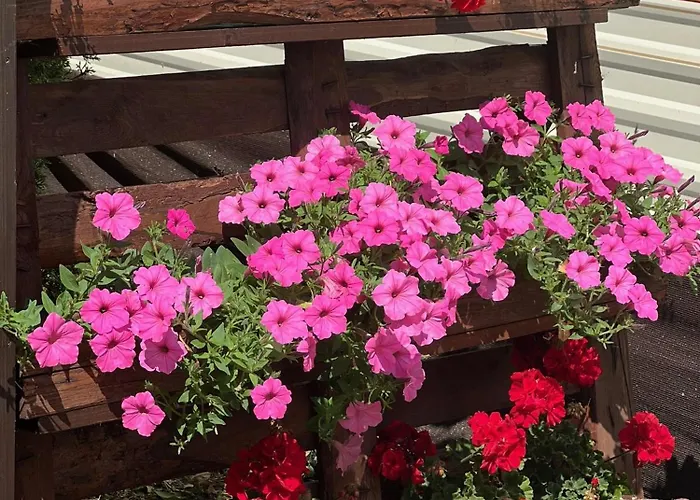 Lodge Delux W Helu Hel