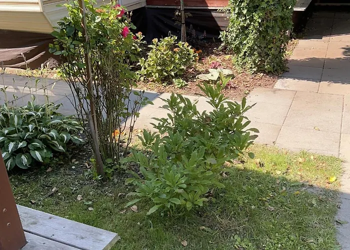 Lodge Delux W Helu Hel