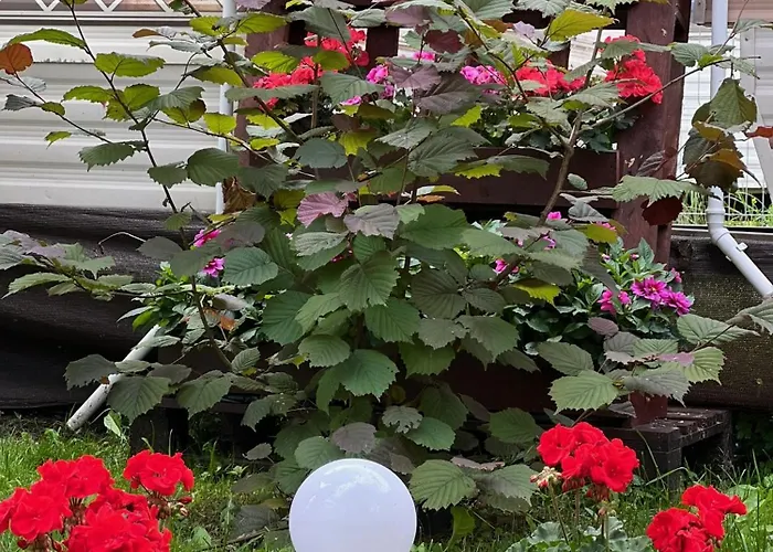 Lodge Delux W Helu *